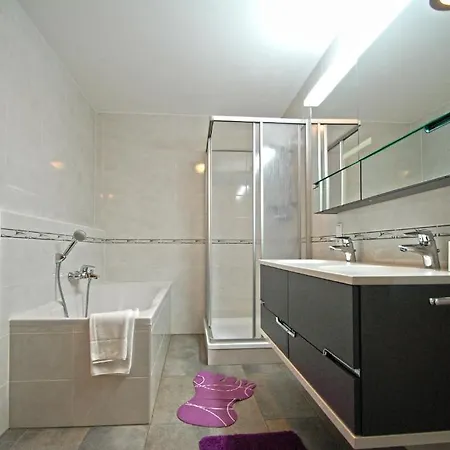 Schmitten Finest By In One 公寓 滨湖采尔